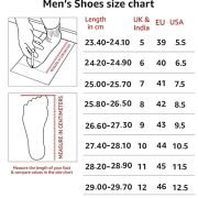 Bata Men Pull On Formal Shoes